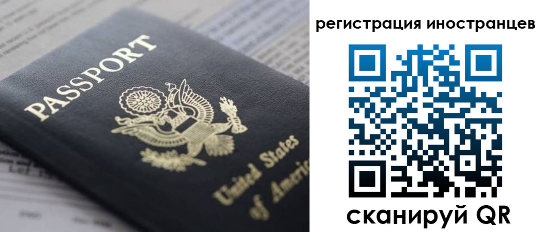регистрация в Ленинградской области